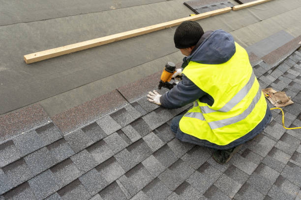 Best Roof Gutter Cleaning  in Evergreen, MT