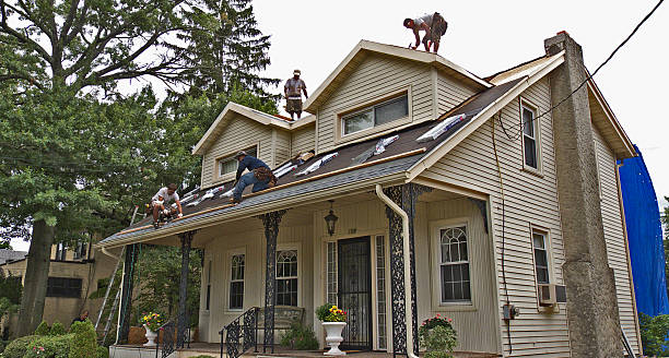 Best New Roof Installation  in Evergreen, MT